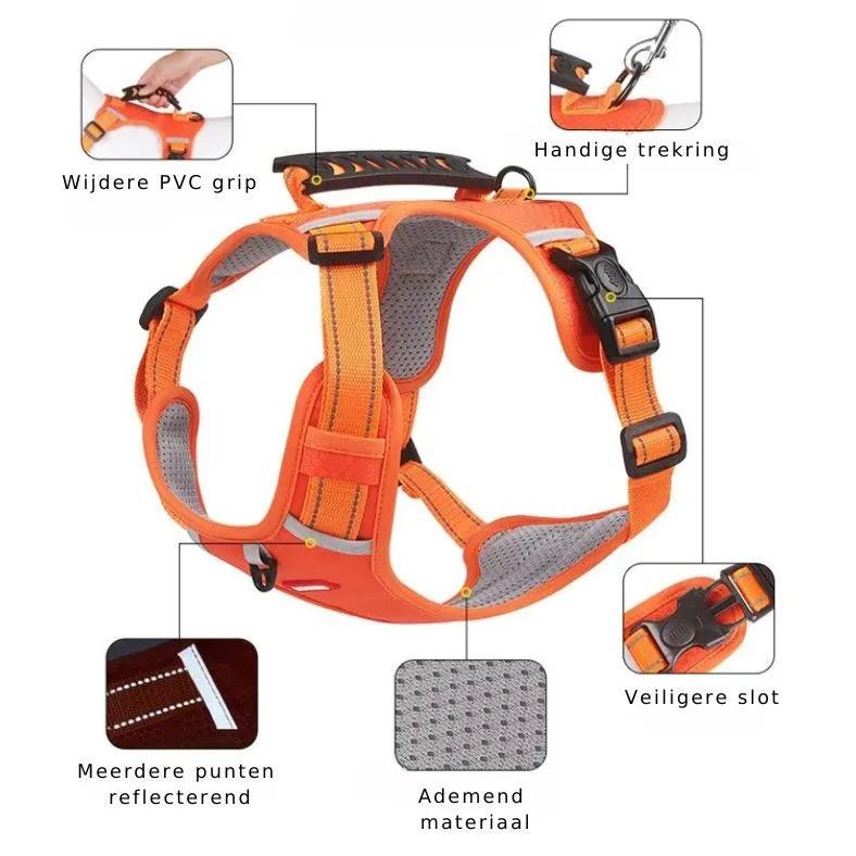 Reflective Stress- Relieving Harness - OnOutlet