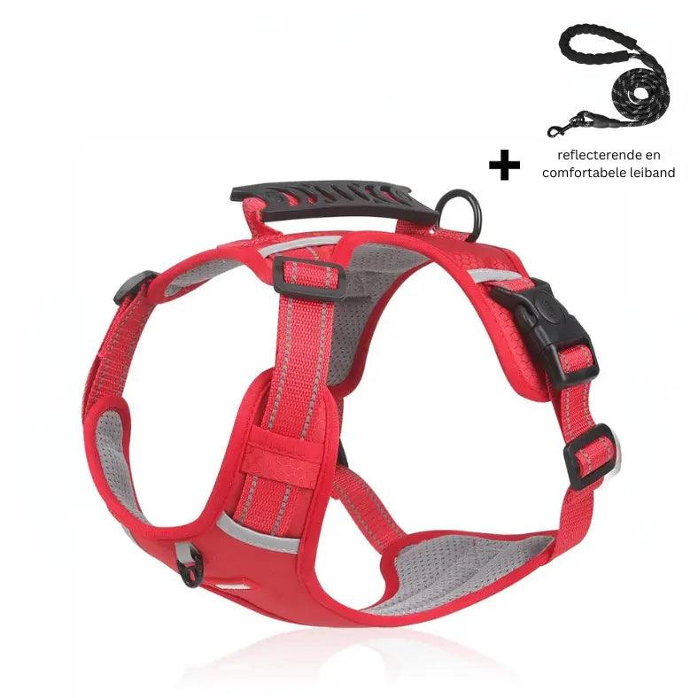 Reflective Stress- Relieving Harness - OnOutlet