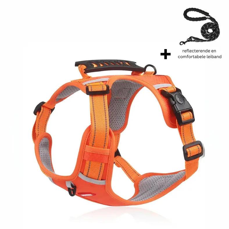 Reflective Stress- Relieving Harness - OnOutlet