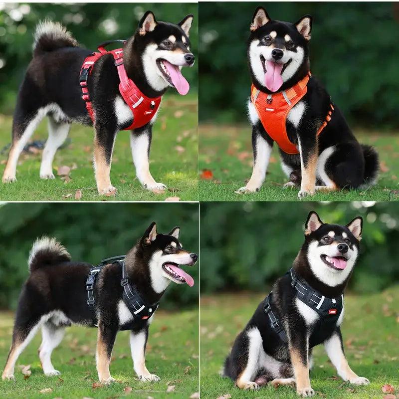 Reflective Stress- Relieving Harness - OnOutlet